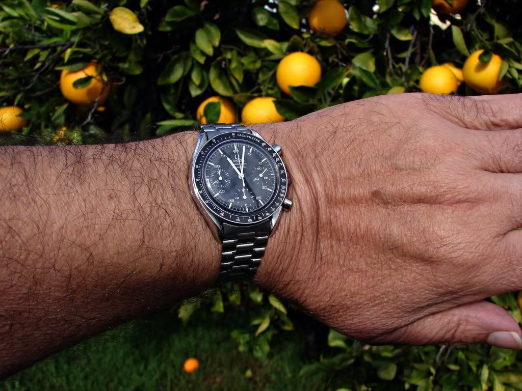 speedmaster professional vs reduced